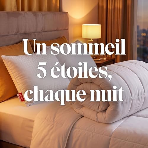 Lot de 2 Oreillers à Mémoire de Forme 60 cm, Qualité Hôtel - Adaptabilité Cervicale et Hypoallergénique - Fermeté Moyenne pour Toutes Les Positions - Double Taie Respirante et Douce