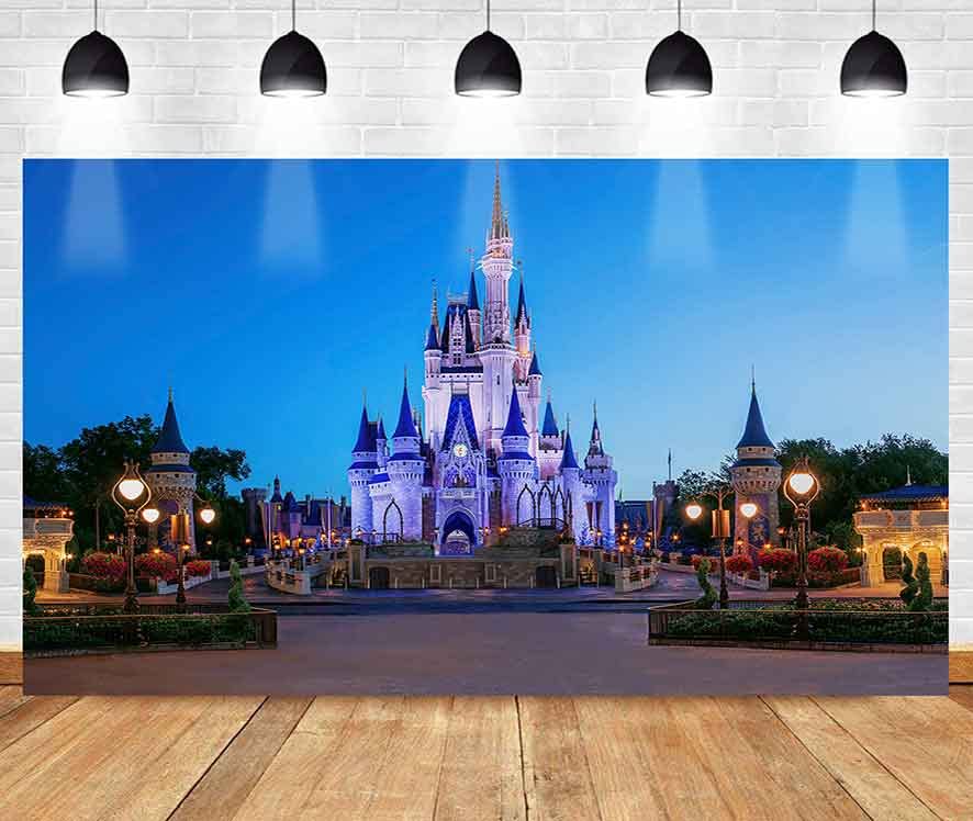 Photo 1 of Blue Castle Party Backdrop Street Lamp Woods Photo Background MEETSIOY Fairy Tale World Studio Props Banner Birthday Party Supplies Photography Backdrop 5x3ft BJZSMT126