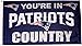 Fremont Die NFL New England Patriots 3' x 5' Flag with Grommets, 3 x 5-Foot, In Country