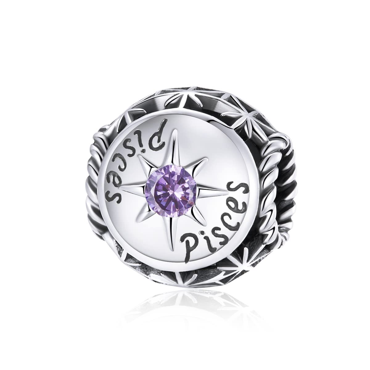 FeatherWish Zodiac Star Sign Horoscope Birthday Constellation Family Love Bead Charm Sterling Silver 925 Fits And Compatible With Pandora Bracelets Gift Friend Wife Sister Daughter (Pisces)