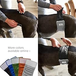 Pet Parents Premium Washable Dog Belly Bands