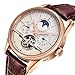 Affute Mens Automatic Mechanical Wrist Watches Stainless Steel Date Skeleton Tourbillon Watch (Brown Leather)