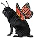 California Costumes Pet Butterfly Costume Large