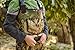Lone Cone Kids and Toddlers Adjustable Neoprene Chest Waders, 8/9, Camo