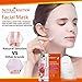Face Mask Natural Rose and Pomegranate Mask of Moisturizing Skin