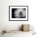PHOTO NATURE PLANT FLOWER BLACK WHITE BEAUTIFUL HOME FRAMED PRINT F12X4247