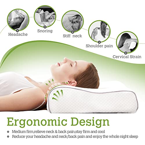 MELTIN 100 Natural Latex Pillow (Standard) w. Balanced Medium Firmness