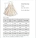 Merry Day Vintage Toddler Dresses Halter Girls Dress with Tulle Lace for Party Casual Sundress, 6M-8T