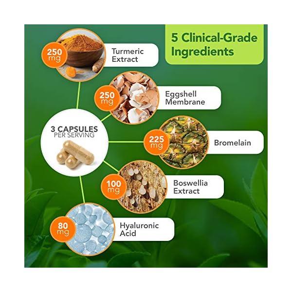 Vital Plan Joint Care Supplement by Dr. Bill Rawls Shellfish Free, ClinicalGrade Eggshell