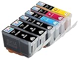Skia Ink Cartridges ¨ 6 Pack Compatible with Canon 8(PGI-5BK ClI-8BK CLI-8C CLI-8M CLI-8Y) for PIXMA iP4200, PIXMA MP500, PIXMA MP530, PIXMA MP610, PIXMA MP800, PIXMA MP800R, PIXMA MP810, PIXMA MP830, PIXMA MP950, PIXMA MP960, PIXMA MX850