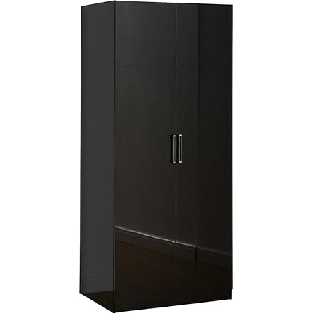 Charisma Two Door Wardrobe Best Design And Quality Bedroom