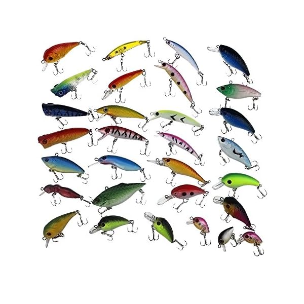 APG-30pcs-3D-Eyes-Bright-Color-Crankbait-Assorted-Fishing-Lures-Spinner-Baits-Fish-Hooks-Tackle