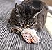 Petlinks Fresh Catch Refillable Plush Cat Toy with Catnip Tube - Tan, One Size