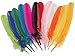Kid Fun Assorted Color Turkey Feathers
