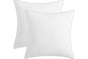 MR.YE Mr. Ye Throw Pillow Inserts Cushion Inserts 18x18 Inches Down Alternative Decorative Pillow Inserts Fluffy Square Form Sham Stuffer for Sofa, Bed and Couch, Piping Edges Design, Set of 2, White