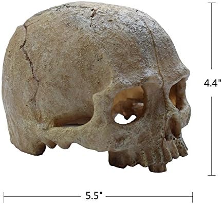 Alwaysuc Resin Exotic Environments Skull Aquarium Aquarium Decorations for Fish Tank Grey