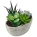 MyGift Decorative Artificial Succulent Plant Arrangement with Oval Gray Pot