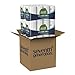 Seventh Generation 100% Recycled Paper Towels, 2-ply, 8 Count, Pack of 4