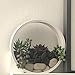 Round Glass Wall Vase Planter, Indoor Decorative Contemporary Morden Circle Iron Vase for Herb,Small Cactus for Room Decor,in Gift Box, 8″ H, Whitethumb 3
