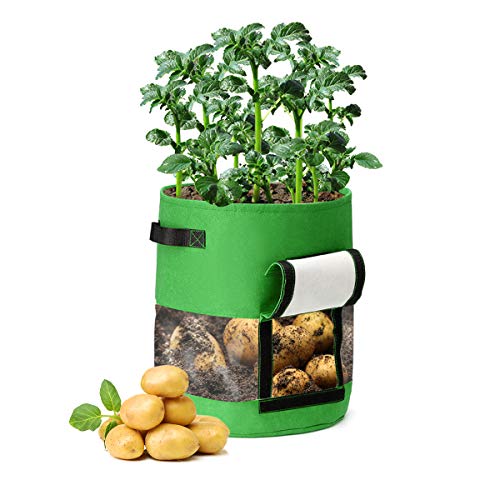 CAVEEN Potato Grow Bags, 2 Pack 10 Gallon Plant Growing Bags with Flap and Handles for Potato Tomato Carrot Onion