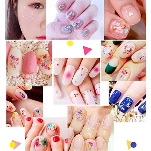 48pcs Nail Art Stickers & Decals Kit - Nail Dried Flowers Stickers, Colorful Nail Paillette Chip Foil Glitter, Ice Mylar Shell Foil Slice,Mixed Nail Diamonds with a Tweezer and a Nail Brush
