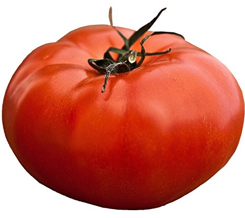 50 giant 7 lb "delicious" tomato seeds by rdr seeds