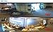 Geovision GV-FER12203 12MP H.264 Low Lux Fisheye Rugged IP Camera (White)