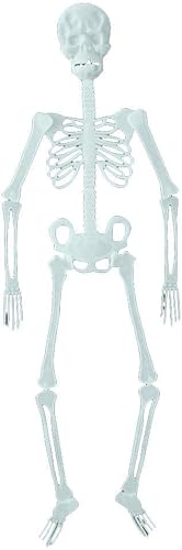 Download Sisaki Décoration d'halloween Accessoires d'halloween Squelette Fluorescent Décorations de fêtes PDF