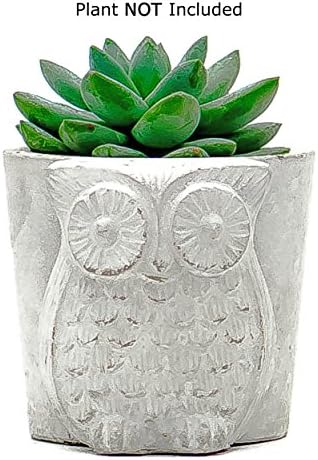 Succulent Planter / Cactus Planter. 5.5 Inch Protruding Gray Owl Cement Flower Pot Container - by TERRARIUMS FOR SALE