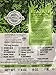 Organic Bladderwrack Flakes Maine Seaweed - 4 oz bag - USDA & Vegan Certified - Kosher - Hand Harvested from the Atlantic Ocean Coast - Sun Dried Raw & Wild Sea Vegetables VitaminSea (BldrwrkFlks 4oz)