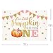 MEHOFOTO Little Pumpkin One Birthday Party Photo Background Banner Fall Autumn Our Little Pumpkin Girl Happy 1st Birthday Pink Gold Dots Backdrops Props for Cake Table Supplies 7x5ft
