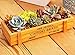 Huouo 8.8 Inches Wood Planter Succulent Container Box with 6 Pcs Mini Garden Planting Hand Tools Set