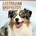 Australian Shepherds 2018 12 x 12 Inch Monthly Square Wall Calendar with Foil Stamped Cover, Animals Dog Breeds