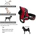 Lifepul No Pull Dog Vest Harness - Dog Body Padded Vest - Comfort Control for Large Dogs in Training Walking - No More Pulling, Tugging or Choking Red