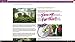 Windows 10 Professional OEM 64 Bit DVD English Language | Full Product