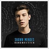 Shawn Mendes - Stitches