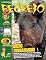 Livro Revista Recreio - 07/06/2024