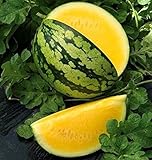 KIRA SEEDS - Seeds Yellow Watermelon 11 lbs