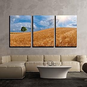 3 Piece Canvas Wall Art - Wheat Field with a Tree on The Horizon and The Sun in The Beautiful Sky - Modern Home Art Stretched and Framed Ready to Hang - 16"x24"x3 Panels