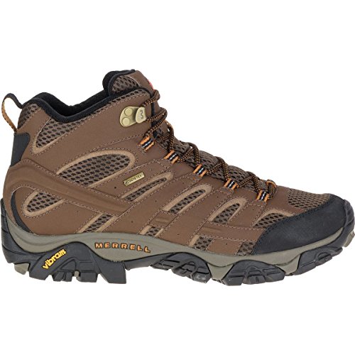 Merrell Men's Moab 2 Mid Gtx Hiking Boot, Earth, 13 M US