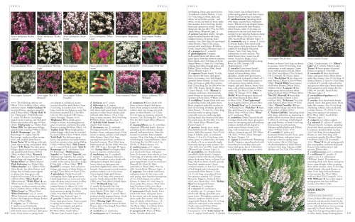 Encyclopedia Of Spirits Free Pdf