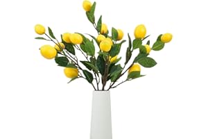 Hagao Artificial Fruit Branches Artificial Lemon Highly Simulation Lifelike Model for Vase Home Party Decoration (2pcs Lemon Branches)