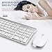 Wireless Keyboard and Mouse, FENIFOX USB Ergonomic Compact Whisper Quiet QWERTY for Mac Imac Windows PC Computer Laptop Tv (Silver and White)