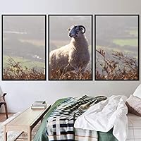 3 Piece Framed Canvas Wall Art Fun Animals Canvas Prints Home Artwork Decoration for Living Room,Bedroom - 16