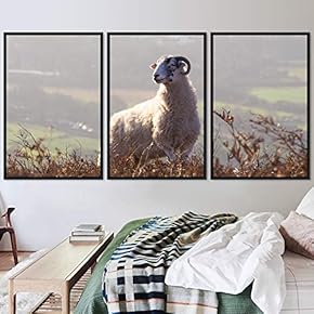 signwin 3 Piece Framed Canvas Wall Art Fun...