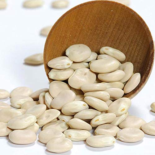 Lupini Beans - Dry - 2 resealable bags - 1 lb ea