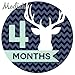 Modish Labels, 12 Monthly Baby Stickers, Baby Boy, Woodland, Deer, Antlers, Chevron, Mint, Navy Blue, Gray, Grey, Baby Month Stickers, Baby Book Keepsake, Photo Prop, Baby Shower Gift