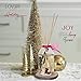 LOVSPA Reed Diffuser Set, Joy Winterberry Spruce Scented Oil Diffuser with Sticks, Home Fragrance Accessories for Bathroom Shelf Decor, Aroma Diffusers for Home or Office Desk, USA Made