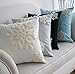 Elife Soft Square Snowflake Theme Home Decorative Canvas Cotton Embroidery Throw Pillow Covers 18x18 Case Cushion Cover Decorative Decor for Couch Bed Chair(1Pcs, White)