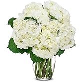 From You Flowers - White Hydrangea Bouquet with Glass Vase | Fresh Flower Bouquets for Birthday, Anniversary, Get Well or Cel